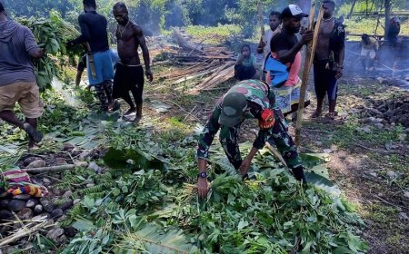 Harmoni Natal, Babinsa Airu Hadiri Tradisi Bakar Batu Perayaan Natal Suku Lani dan Wati