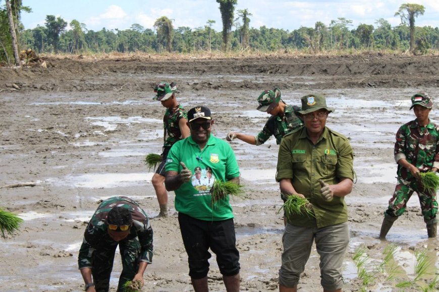 Batalyon Infanteri TP 809/NTM Berpartisipasi Aktif dalam Penanaman Perdana Padi dan Program Cetak Sawah Rakyat di Sarmi