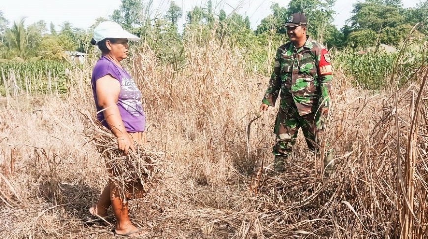 Babinsa Dampingi dan Bantu Warga Olah Lahan untuk Tanaman Cabai