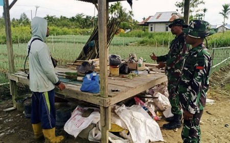 Dongkrak Produktivitas Petani Daun Bawang, Babinsa Berikan Pendampingan