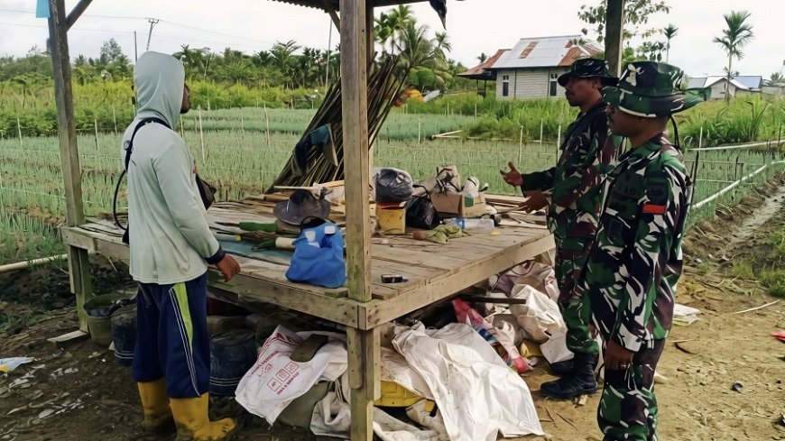 Dongkrak Produktivitas Petani Daun Bawang, Babinsa Berikan Pendampingan