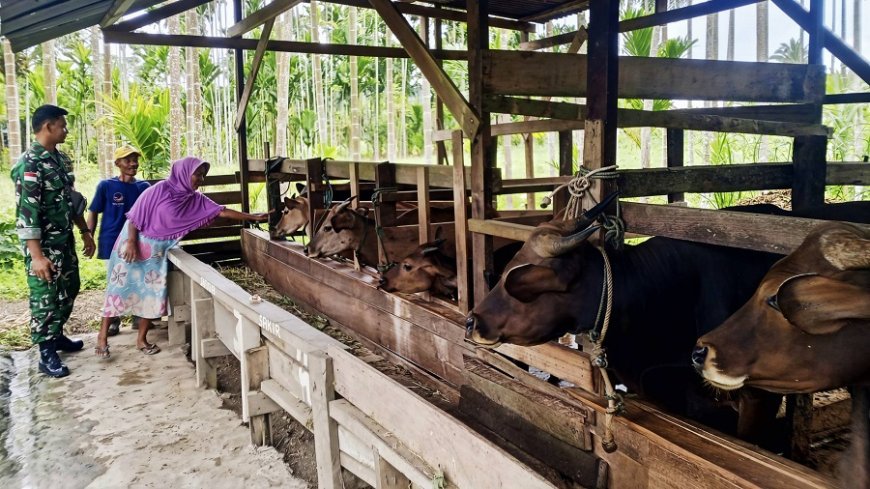 Dorong Usaha Berkelanjutan, Babinsa Bantu Tingkatkan Produktivitas Peternak Sapi