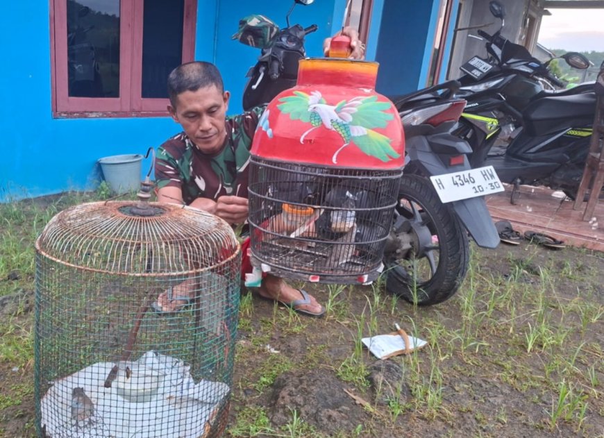 Klangenan Burung Hobi Unik Sertu Tohirin di Lokasi TMMD Cikuya