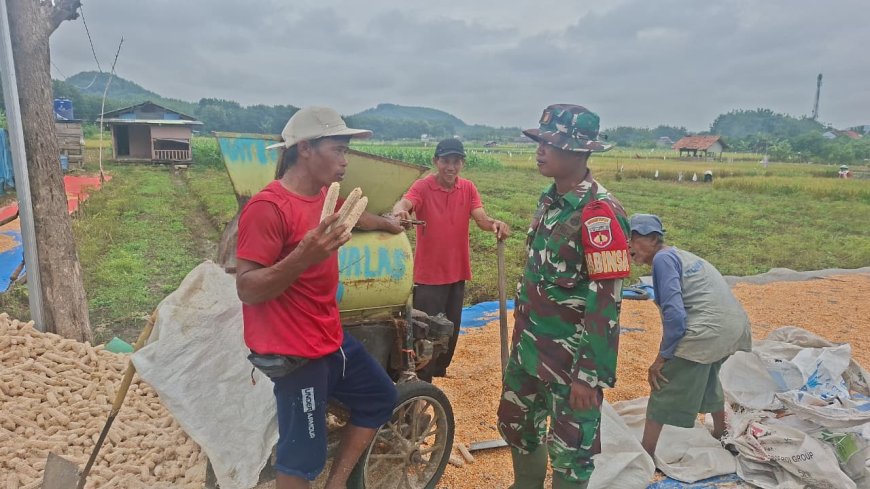 Harapan Petani Jagung Desa Cikuya Selangkah Lebih Maju Berkat TMMD