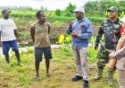 Babinsa Skanto Dampingi BRMP Papua Tinjau Kesiapan Cetak Sawah Rakyat