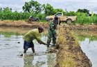 Serda Jodi dan Petani Kompak Siapkan Lahan untuk Tanam Padi