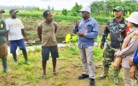 Babinsa Skanto Dampingi BRMP Papua Tinjau Kesiapan Cetak Sawah Rakyat