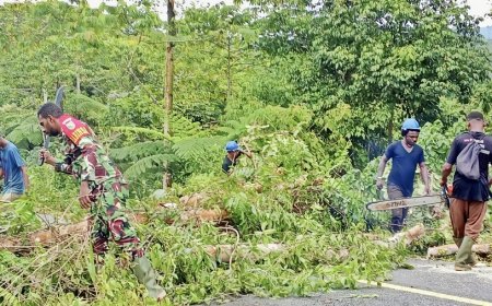 Pohon Tumbang Tutup Jalur Yafi-Web, Babinsa Bersama Warga Turun Buka Akses
