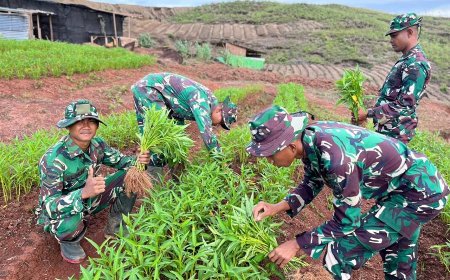 Aksi Nyata! Yonif TP 810/BEM Salurkan Hasil Panen Kepada Masyarakat Sekitar