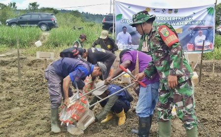 Gerakan Nasional Cetak Sawah, TNI dan Pemda Keerom Tanam Padi