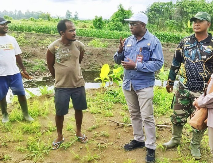 Babinsa Skanto Dampingi BRMP Papua Tinjau Kesiapan Cetak Sawah Rakyat