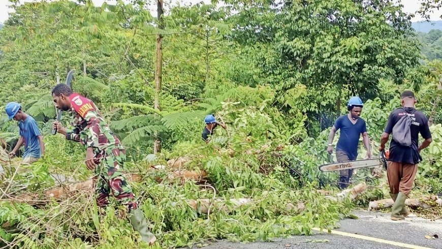 Pohon Tumbang Tutup Jalur Yafi-Web, Babinsa Bersama Warga Turun Buka Akses