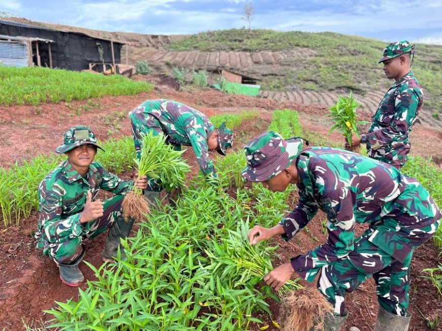 Aksi Nyata! Yonif TP 810/BEM Salurkan Hasil Panen Kepada Masyarakat Sekitar
