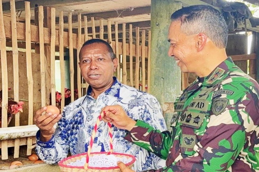 TNI Jadi Garda Terdepan, Momok KKB Papua Mayjen TNI Lucky Avianto Turun Langsung Jadi Peternak Ayam Petelur