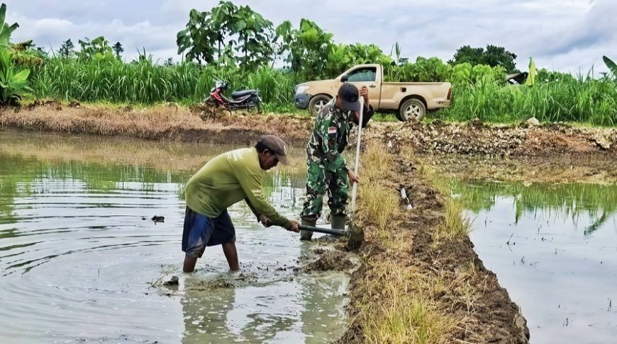 Serda Jodi dan Petani Kompak Siapkan Lahan untuk Tanam Padi