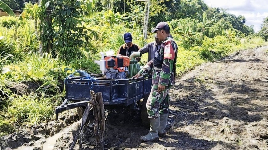 Babinsa Arso Kawal Pembukaan 60 Hektar Lahan Sawah Menuju Swasembada Pangan