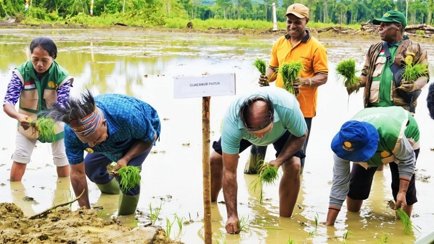 Cetak Sawah 50 Hektare, Danramil Kemtuk Gresi Dampingi Gubernur Tanam Perdana