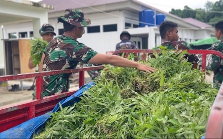 Wujudkan Ketahanan Pangan, Prajurit Yonif TP 809/NTM Bagikan Hasil Panen Kangkung Secara Gratis Kepada Warga