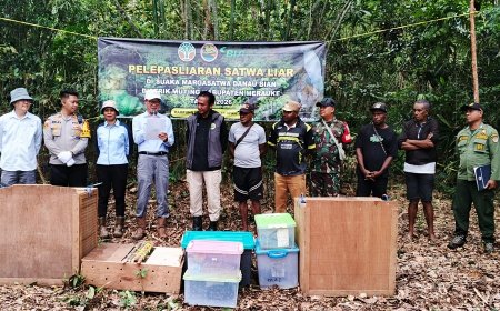 Peran Aktif Babinsa Muting, Dukung Pelepasliaran Satwa Untuk Keseimbangan dan Kelestarian Alam