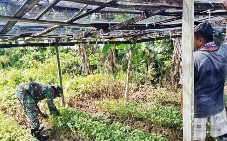 Serda Kapisa Diskusi dengan Petani Bahas Pestisida hingga Strategi Panen Cabai Rawit