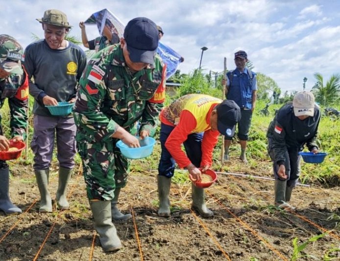 Sinergi Kemandirian Pangan: Babinsa Skanto Dampingi Wabup Keerom Tanam Padi