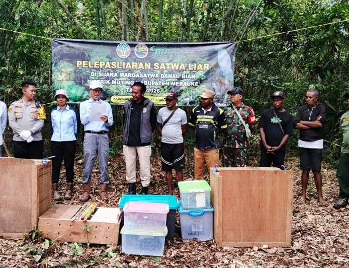Peran Aktif Babinsa Muting, Dukung Pelepasliaran Satwa Untuk Keseimbangan dan Kelestarian Alam