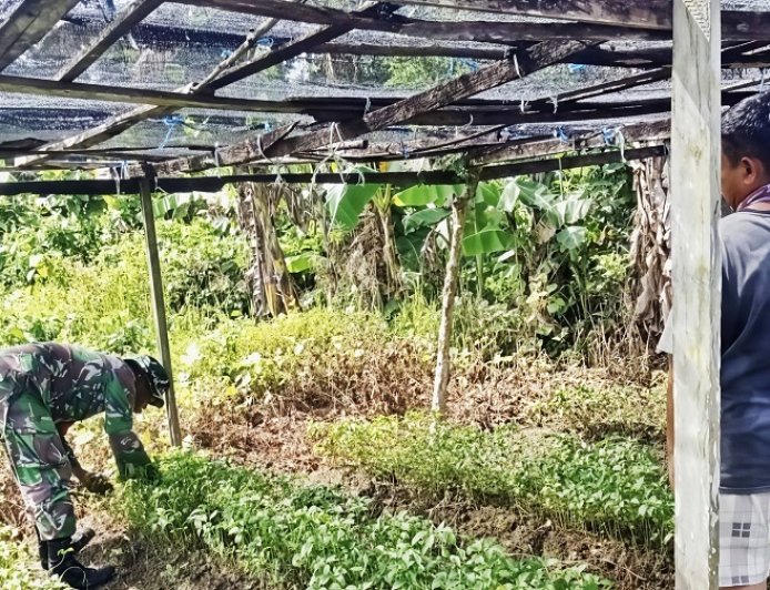 Serda Kapisa Diskusi dengan Petani Bahas Pestisida hingga Strategi Panen Cabai Rawit