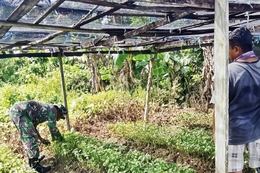 Serda Kapisa Diskusi dengan Petani Bahas Pestisida hingga Strategi Panen Cabai Rawit