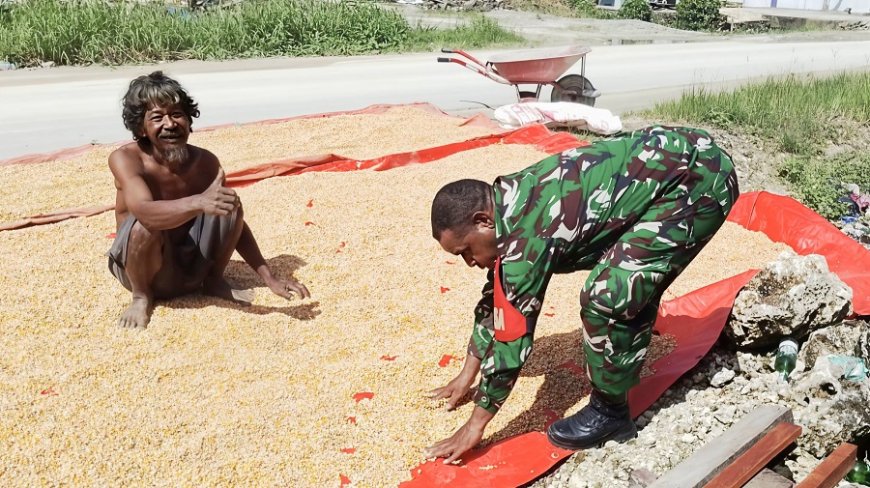 Tak Cuma Jaga Keamanan, Babinsa Skanto Juga Dampingi Petani dari Pra-Produksi Hingga Panen