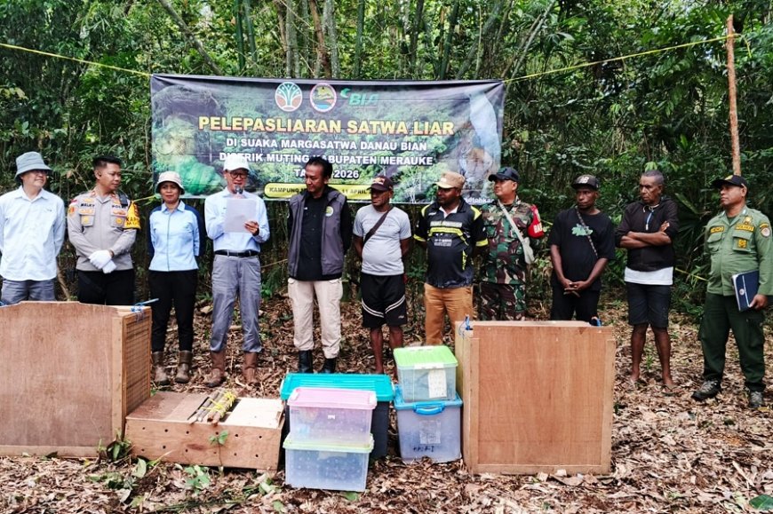 Peran Aktif Babinsa Muting, Dukung Pelepasliaran Satwa Untuk Keseimbangan dan Kelestarian Alam