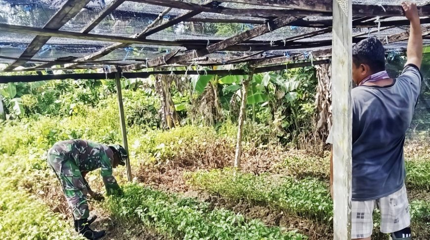 Serda Kapisa Diskusi dengan Petani Bahas Pestisida hingga Strategi Panen Cabai Rawit
