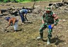Program Swasembada Pangan Lahan CSR 3 Hektare, Petani Tanam Padi Gogo Varietas Sintanur