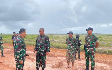Pangdam XXIV/MT Tinjau Food Estate Wanam, Perkuat Komitmen Ketahanan Pangan Nasional