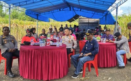 Serentak di Papua, Panen Raya Jagung Langkah Strategis Menuju Swasembada Pangan