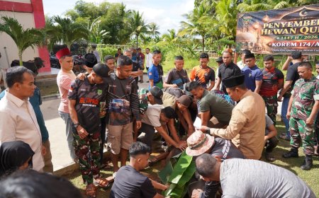 Danrem 174/ATW Serahkan Hewan Kurban, Wujud Kepedulian dan Semangat Berbagi di Hari Idul Adha