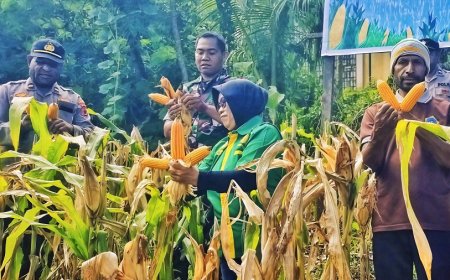 Kolaborasi Fondasi Ketahanan Pangan Daerah melalui Panen Jagung Serentak di Kemtuk Gresi
