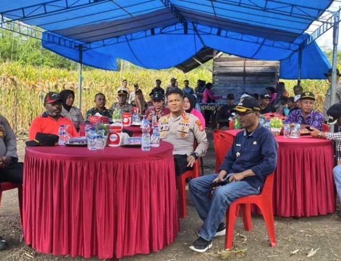 Serentak di Papua, Panen Raya Jagung Langkah Strategis Menuju Swasembada Pangan