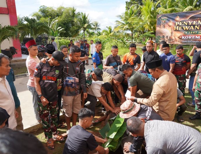 Danrem 174/ATW Serahkan Hewan Kurban, Wujud Kepedulian dan Semangat Berbagi di Hari Idul Adha