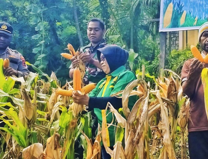 Kolaborasi Fondasi Ketahanan Pangan Daerah melalui Panen Jagung Serentak di Kemtuk Gresi
