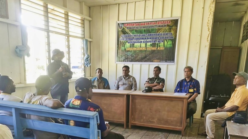 Kompak! Babinsa dan Dinas Perkebunan Sosialisasi Dorong Kesejahteraan Petani Distrik Airu