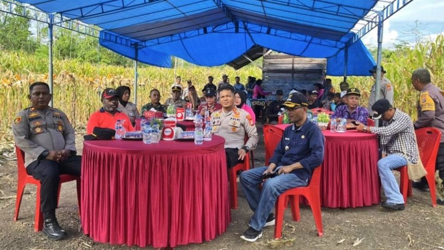 Serentak di Papua, Panen Raya Jagung Langkah Strategis Menuju Swasembada Pangan