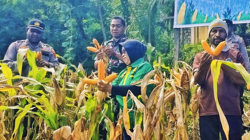 Kolaborasi Fondasi Ketahanan Pangan Daerah melalui Panen Jagung Serentak di Kemtuk Gresi