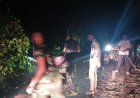 Prajurit Yonif TP 860/NSK Sigap Bersihkan Pohon Tumbang, Akses Jalan Trans Botawa Kembali Normal
