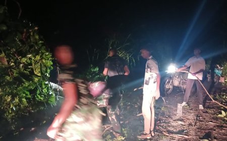 Prajurit Yonif TP 860/NSK Sigap Bersihkan Pohon Tumbang, Akses Jalan Trans Botawa Kembali Normal