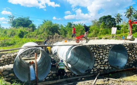Tak Kenal Medan dan Cuaca TNI Pacu Jembatan Garuda Butuo V hingga 60 Persen