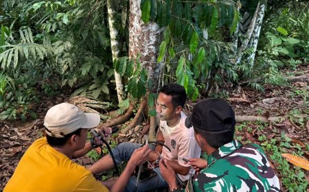 Yonif TP 860/NSK Bersama Dinkes Papua Gelar Uji Resistensi Insektisida di Waropen, Perkuat Perang Melawan Malaria