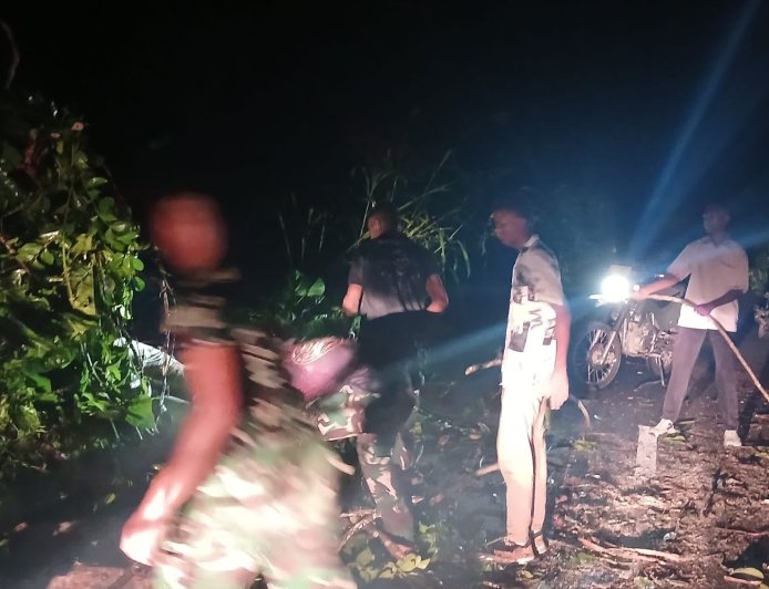 Prajurit Yonif TP 860/NSK Sigap Bersihkan Pohon Tumbang, Akses Jalan Trans Botawa Kembali Normal