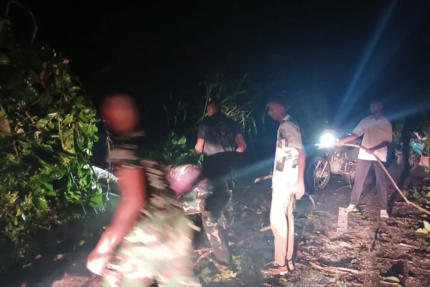 Prajurit Yonif TP 860/NSK Sigap Bersihkan Pohon Tumbang, Akses Jalan Trans Botawa Kembali Normal