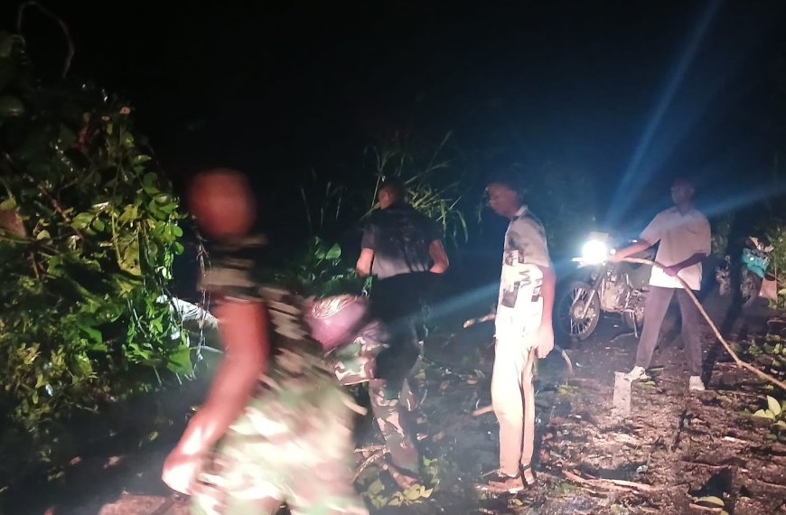 Prajurit Yonif TP 860/NSK Sigap Bersihkan Pohon Tumbang, Akses Jalan Trans Botawa Kembali Normal