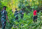 Yonif TP 804/DBAY Gotong Royong Bersama Warga Kimi Siapkan Tiang Bendera Sambut HUT ke-81 Kemerdekaan RI
